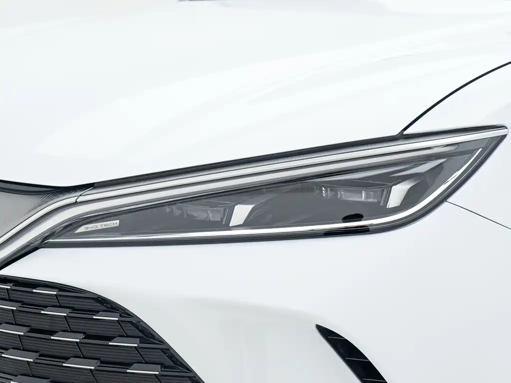 BYD L DM-i 2025 — фото 17