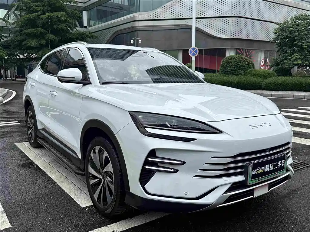 BYD PLUS New Energy 2023 — фото 3