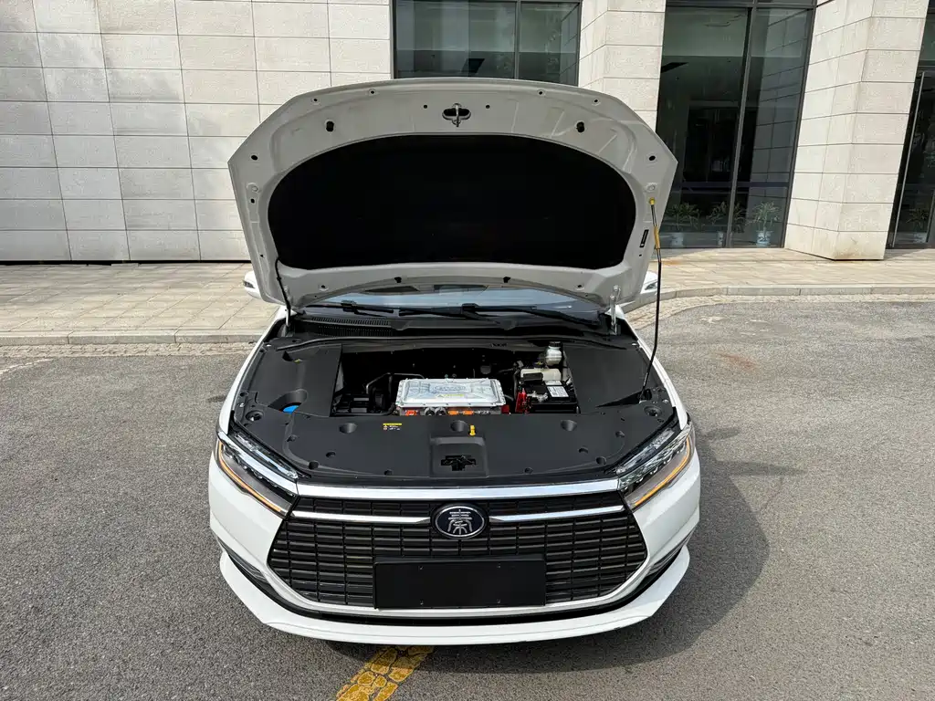 BYD Qin NEV 2020 — фото 15
