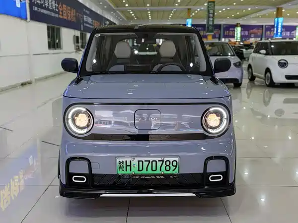 Geely Galaxy Panda 2024
