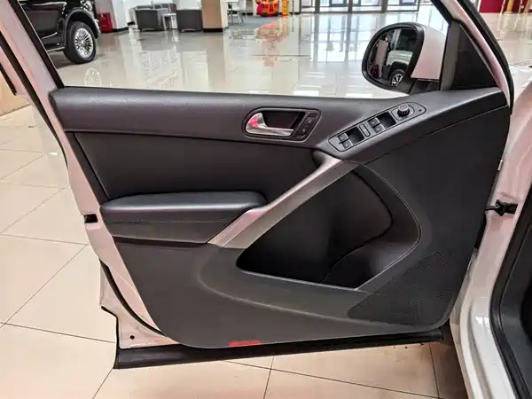 Volkswagen Tiguan 2010