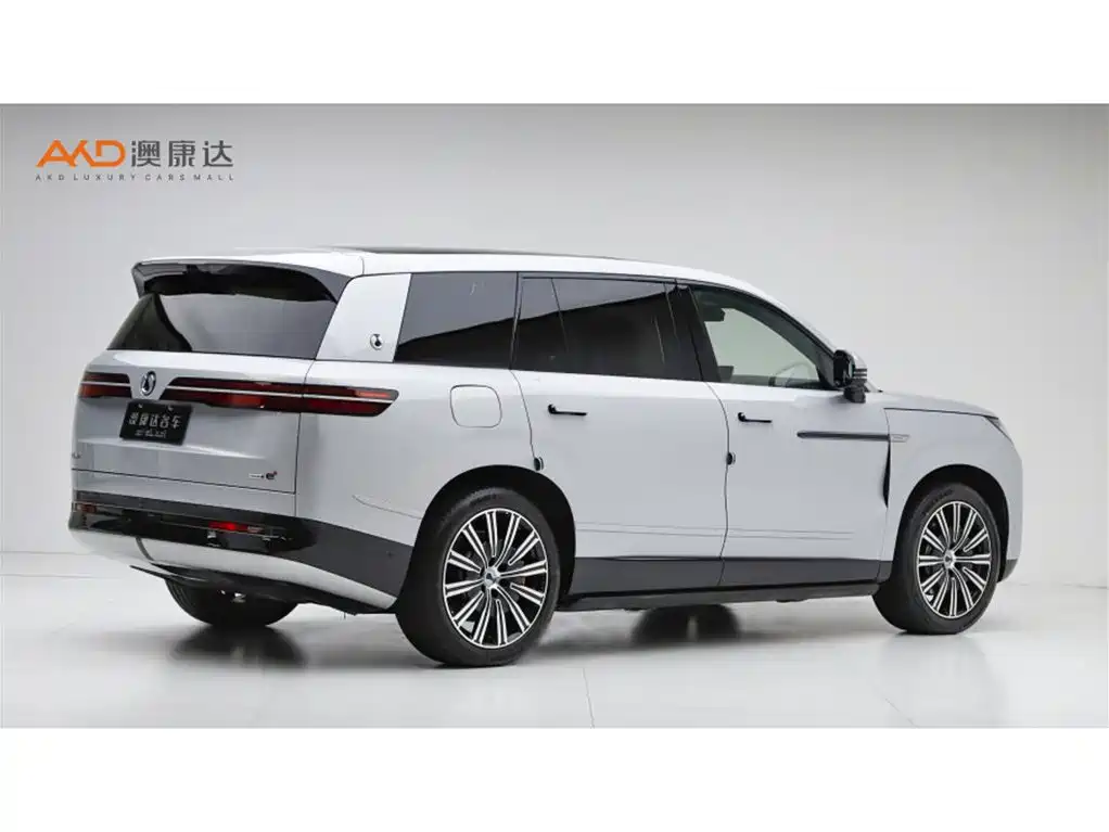 Denza N9 2025
