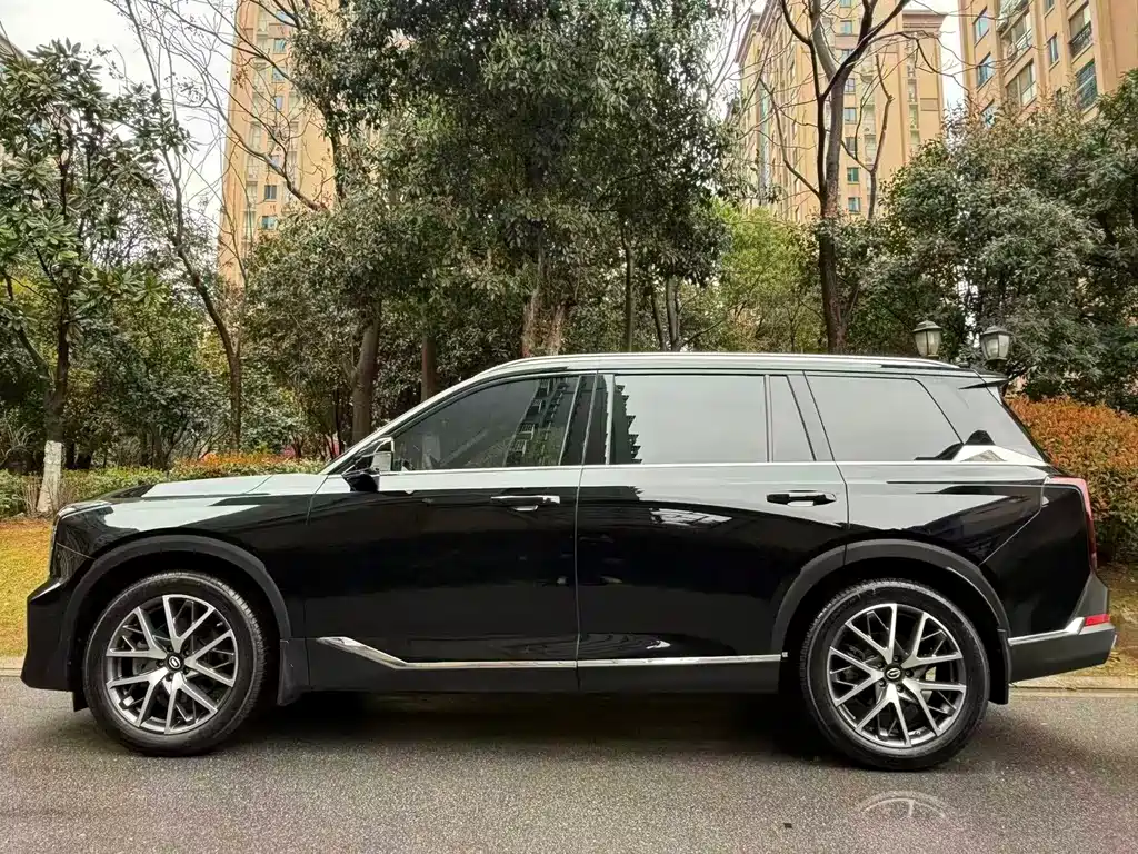 GAC Motor Trumpchi GS8 2024 — фото 3