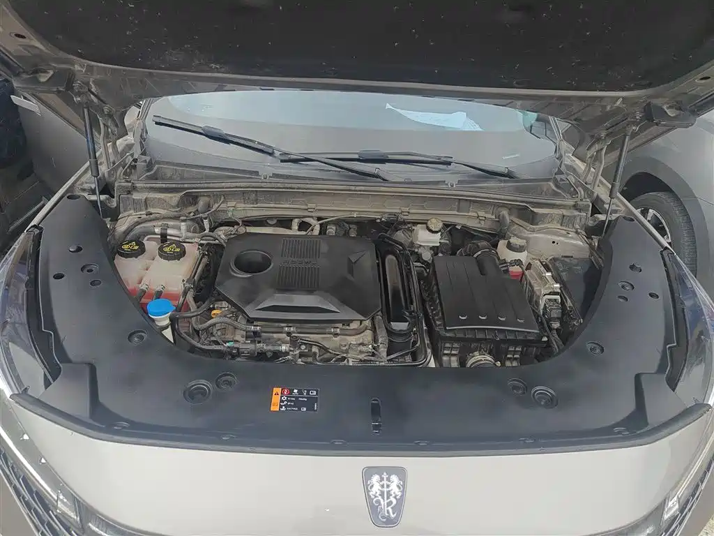 Roewe RX5 New Energy 2023 — фото 20