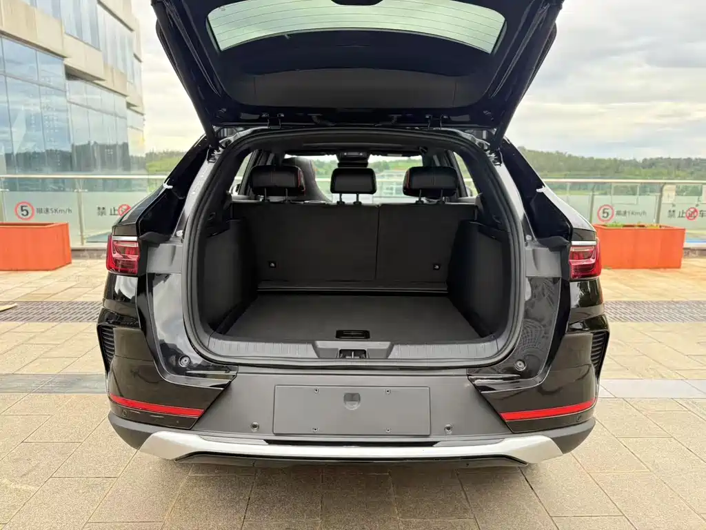 BYD PLUS New Energy 2023 — фото 21
