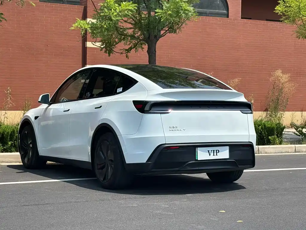 Tesla Model Y 2025 — фото 9