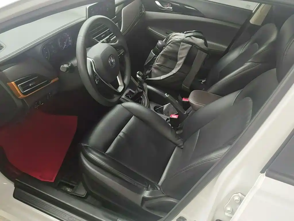 Changan Eado DT 2020 — фото 15