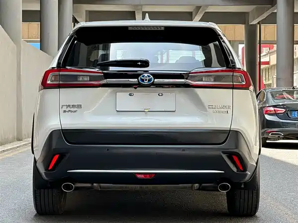 Toyota Wildlander 2022