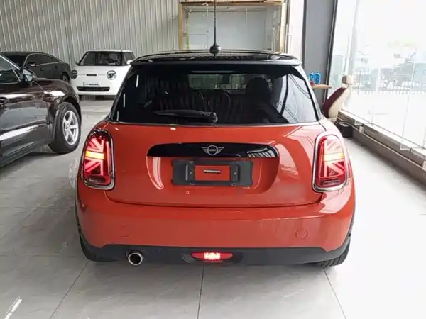 MINI MINI 2020