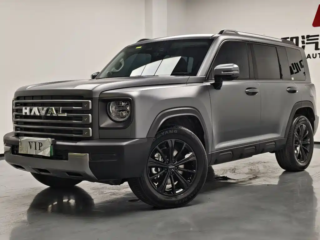 Haval Menglong New Energy 2024