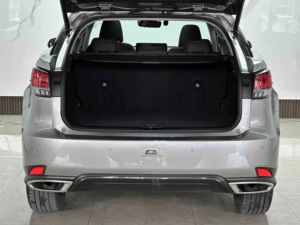 Lexus RX 2022 — фото 17