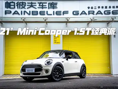 MINI MINI 2021