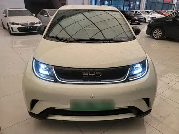 BYD Dolphin 2024