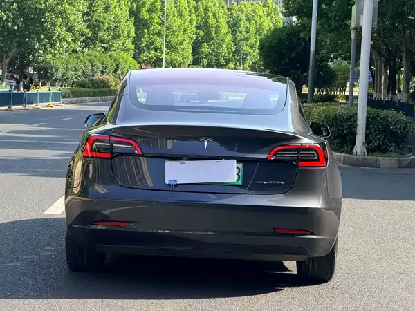 Tesla Model 3 2019