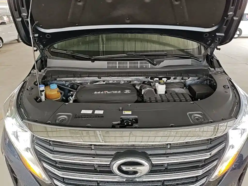 GAC Motor Trumpchi M8 2020 — фото 20