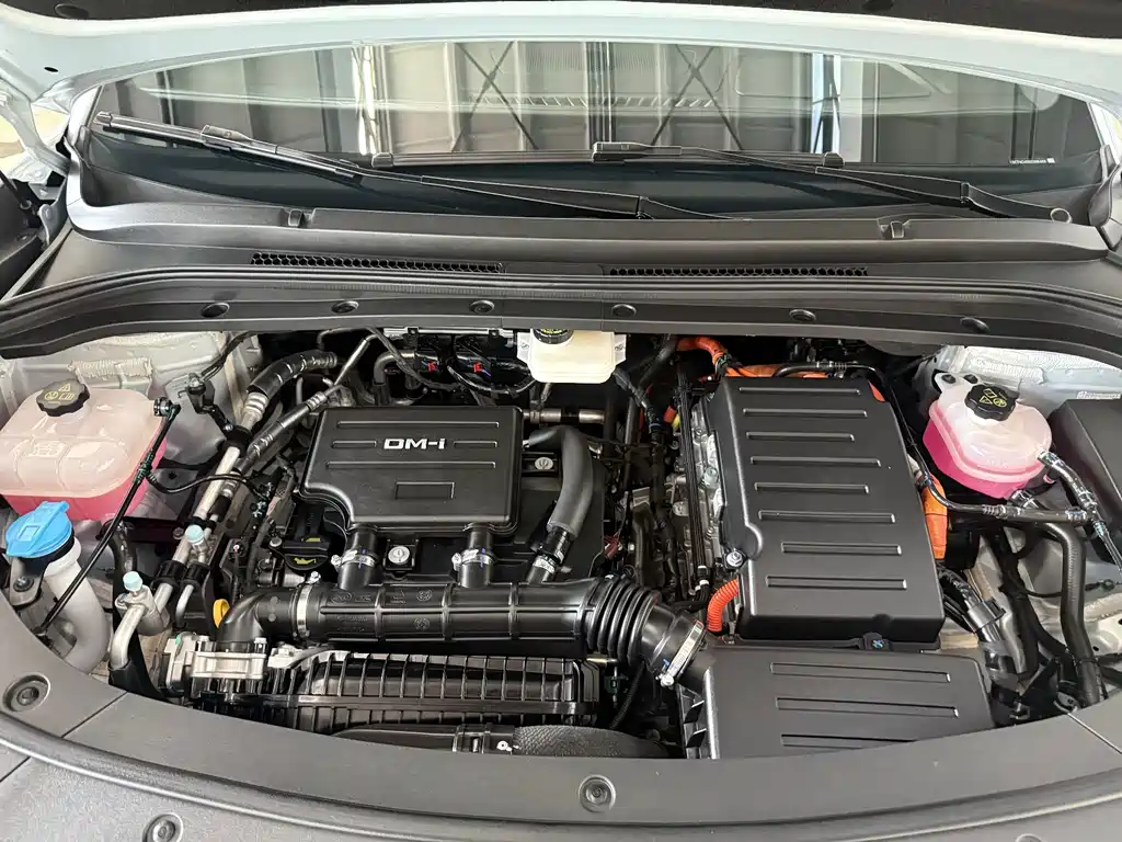 BYD Song L DM-i 2024 — фото 6