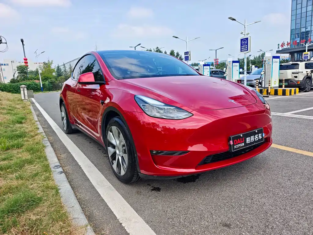 Tesla Model Y 2021 — фото 3