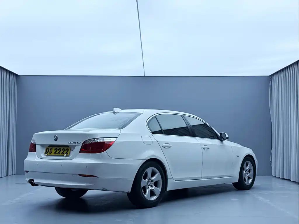 BMW 5 Series 2010