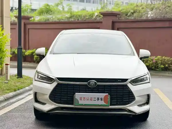 BYD Qin Pro NEV 2019