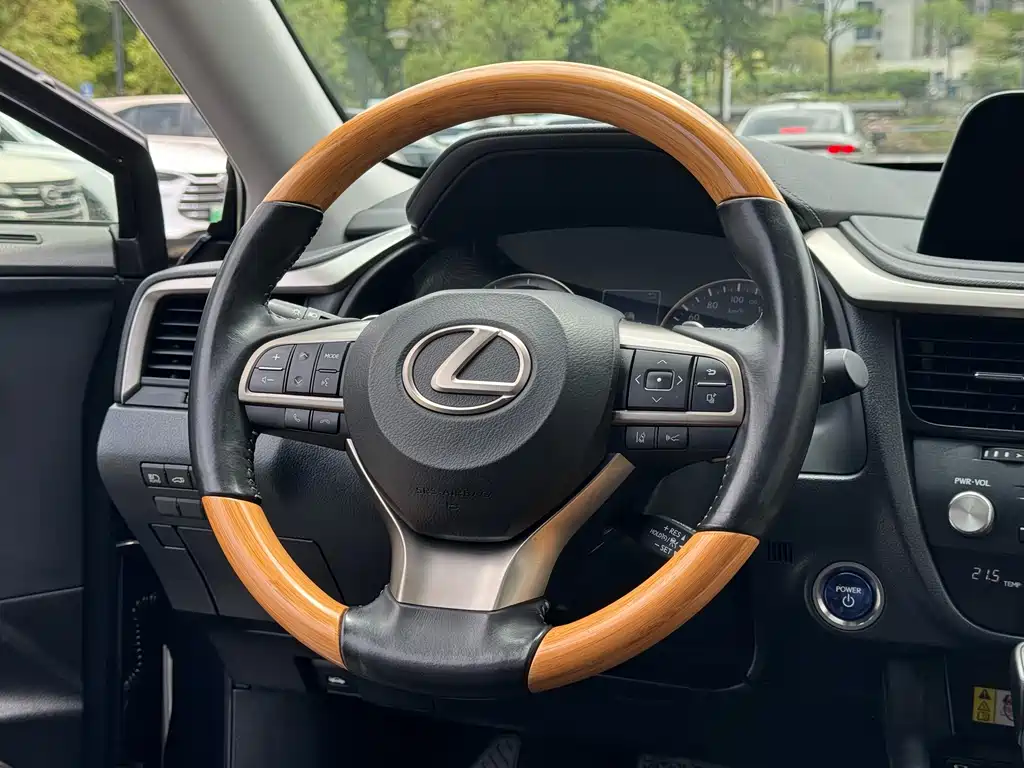 Lexus RX 2019 — фото 13