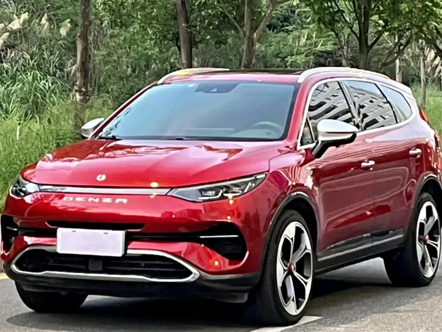 Denza X 2020