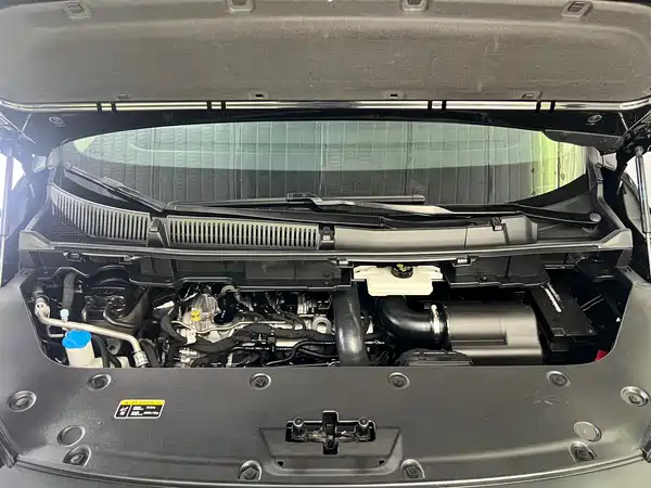 Hongqi HQ9 2023