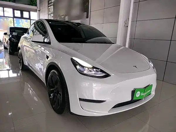 Tesla Model Y 2021