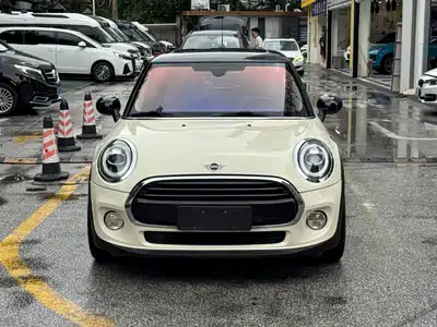 MINI MINI 2020