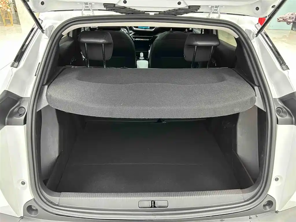 Peugeot 2008 2025 — фото 16