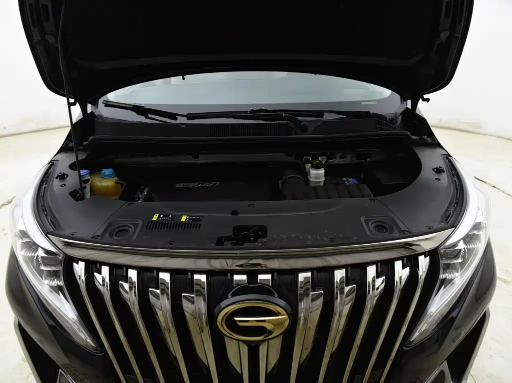 GAC Motor Trumpchi M8 2022 — фото 29