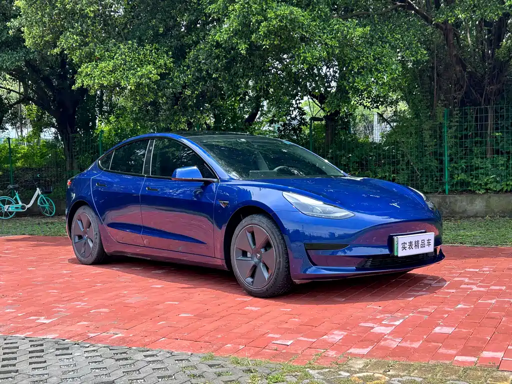 Tesla Model 3 2021 — фото 3