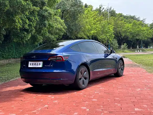 Tesla Model 3 2021