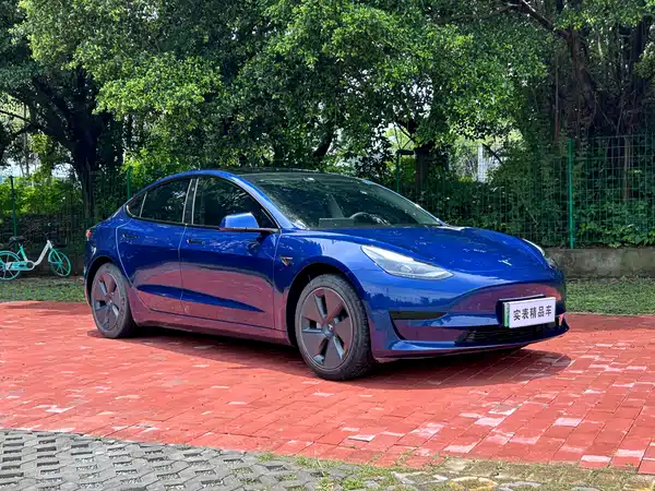 Tesla Model 3 2021