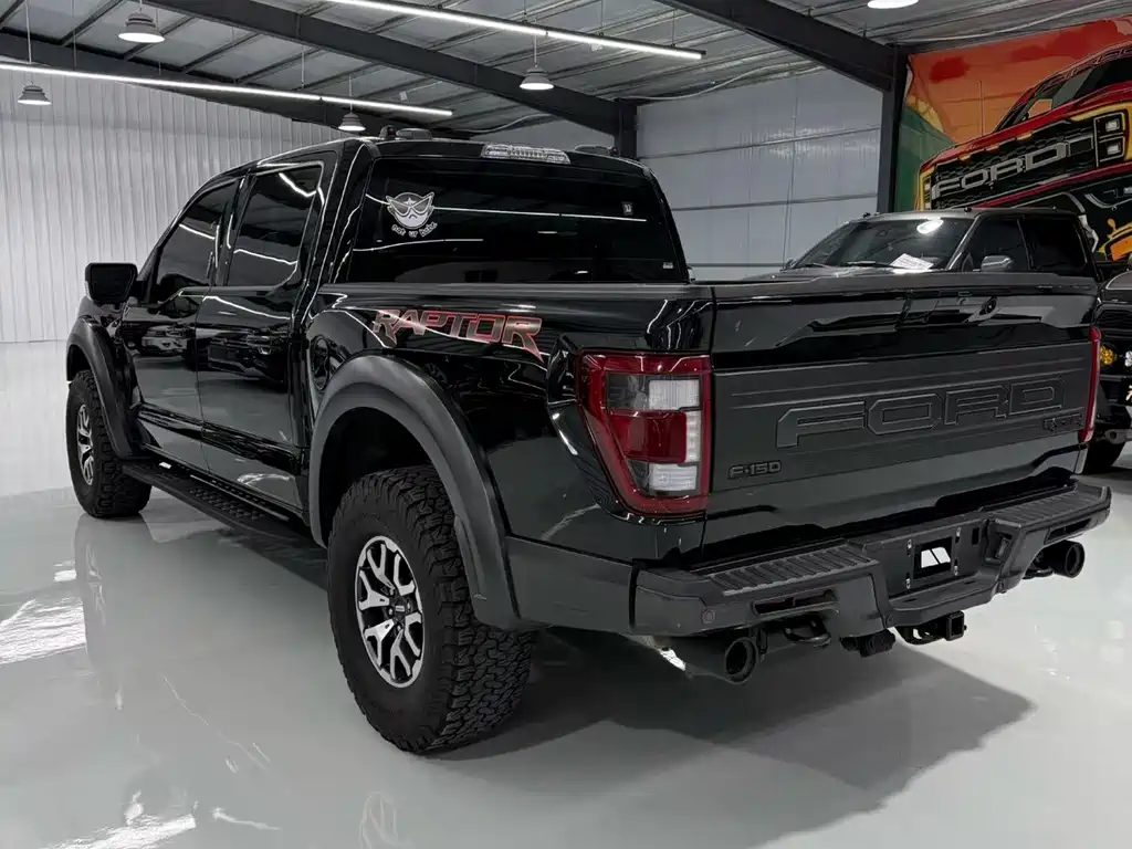 Ford F-150 Raptor 2023 — фото 8