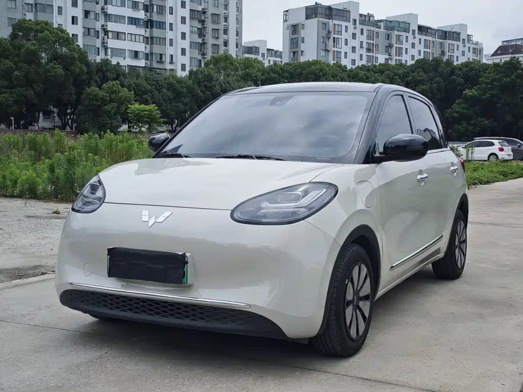 Wuling Bingo 2024