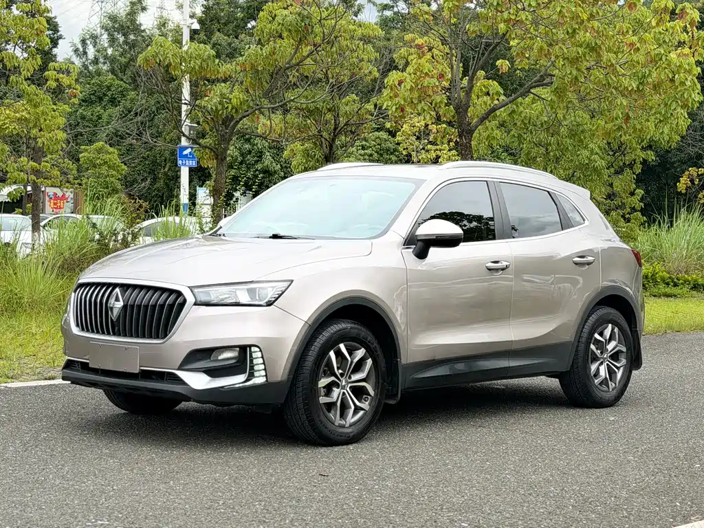 Borgward BX5 2020