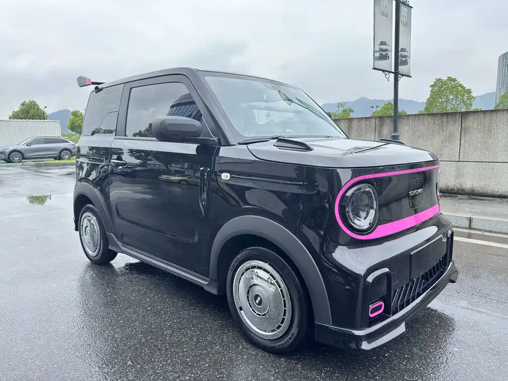 Geely Galaxy Panda 2024 — фото 3