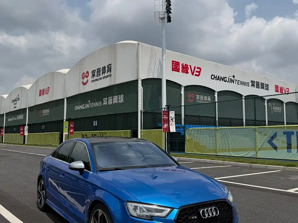 Audi S3 2019