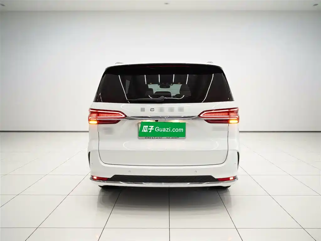 Roewe iMAX8 New Energy 2025 — фото 6
