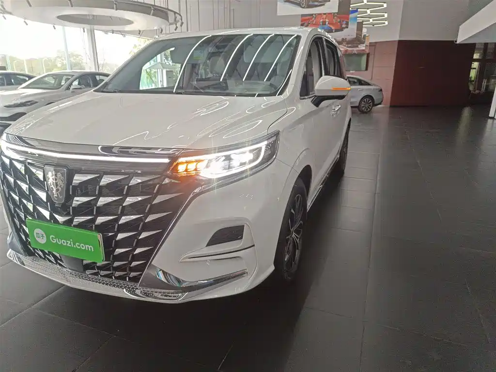 Roewe iMAX8 New Energy 2025 — фото 24