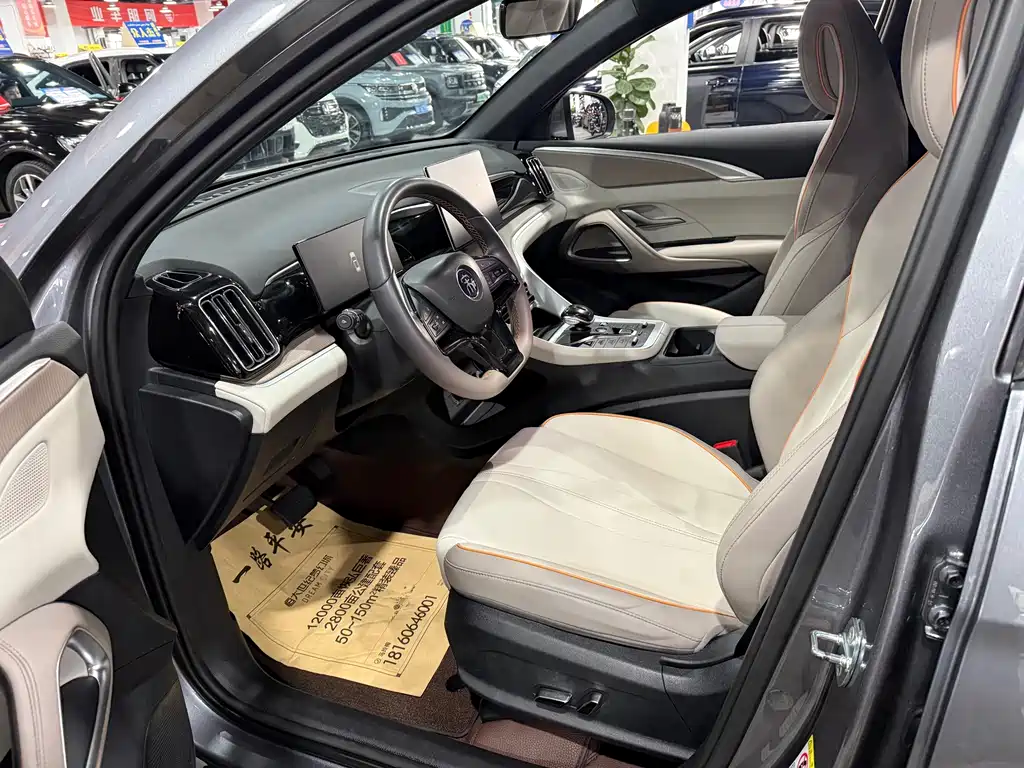 BYD Song Pro New Energy 2024 — фото 9