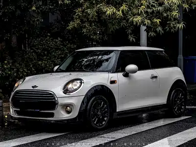 MINI MINI 2017
