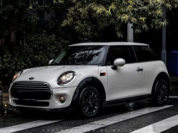 MINI 2017