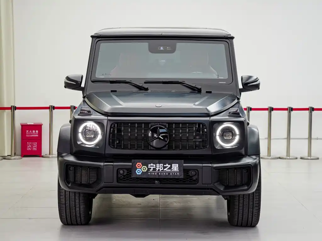Mercedes-Benz G-Class 2010 — фото 2