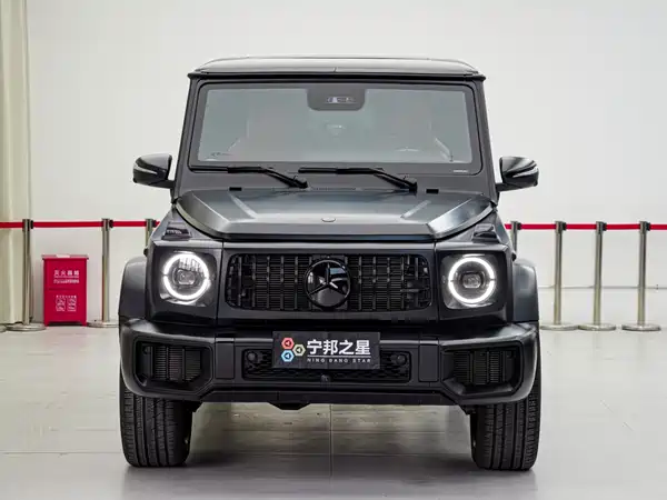Mercedes-Benz G-Class 2010