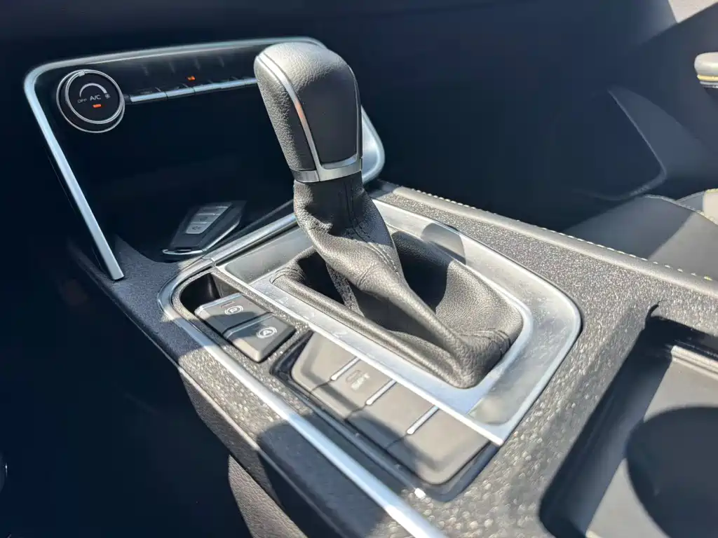 Geely Binrui 2021