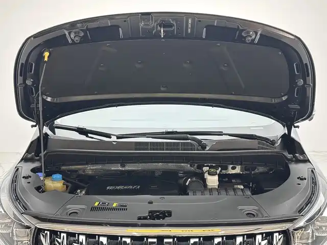 GAC Motor Trumpchi M8 2022 — фото 20