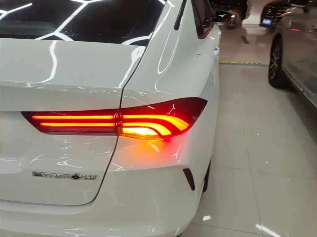 GAC Motor Shadow Leopard 2024 — фото 20