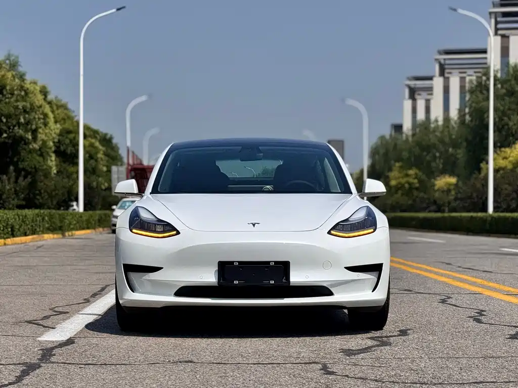 Tesla Model 3 2019