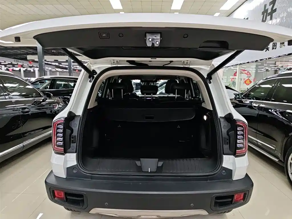 Haval Big Dog 2023 — фото 19